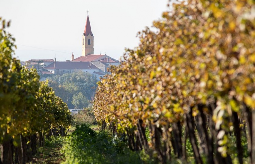 Naturschönheiten in Istrien